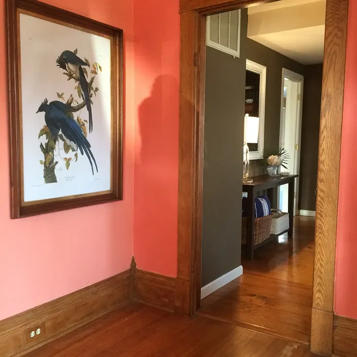 Sherwin Williams Coral Reef hallway color review