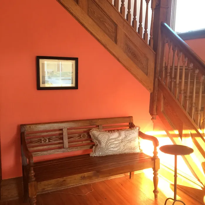 SW Coral Reef hallway makeover