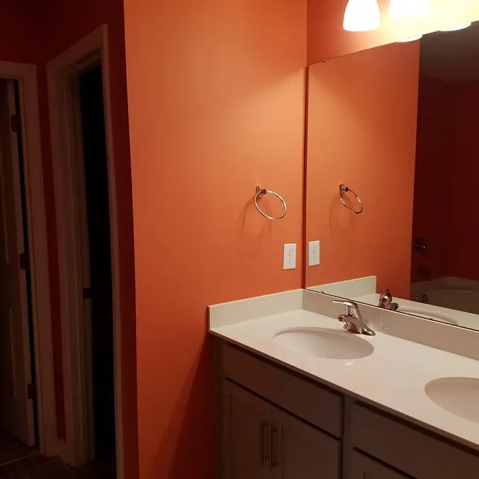 SW Coral Reef bathroom paint