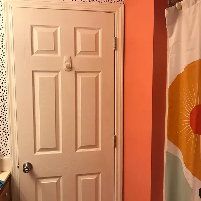 SW Coral Reef bathroom paint