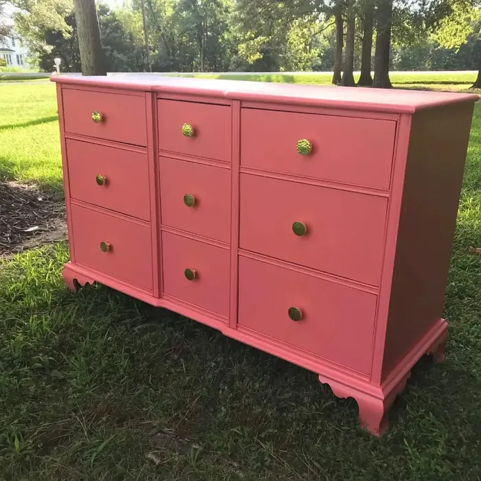 SW Coral Reef painted furniture review