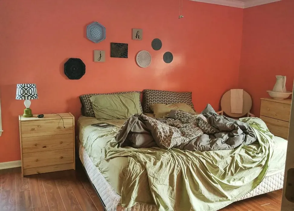 Coral Reef bedroom paint