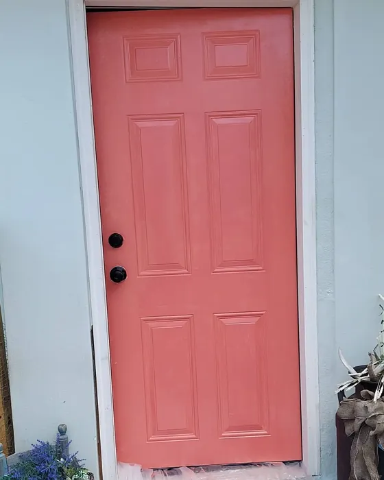 Sherwin Williams Coral Reef front door paint
