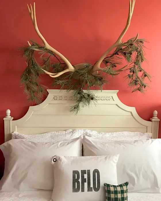 Sherwin Williams Coral Reef bedroom interior