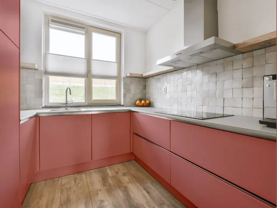 Sherwin Williams Coral Rose small kitchen cabinets