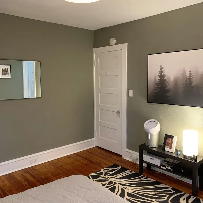 Sherwin Williams Cornwall Slate bedroom interior