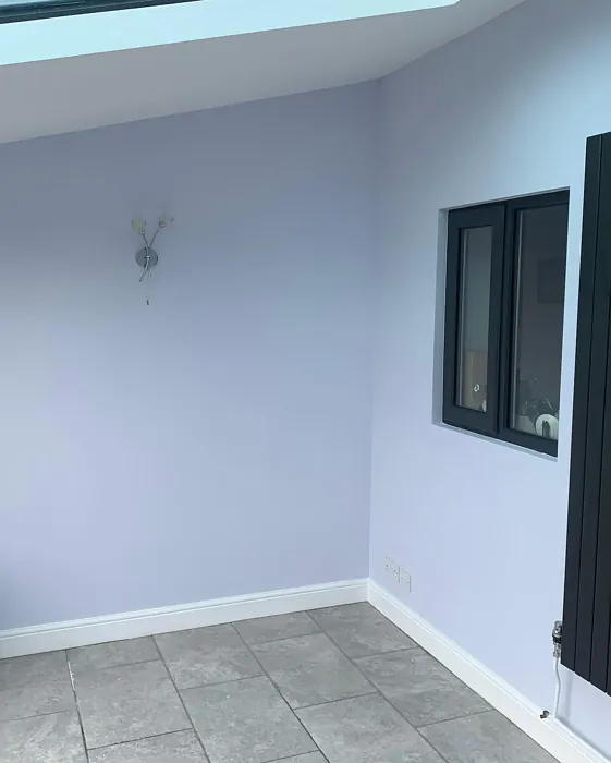 Dulux 56YY 87/037 wall paint color review