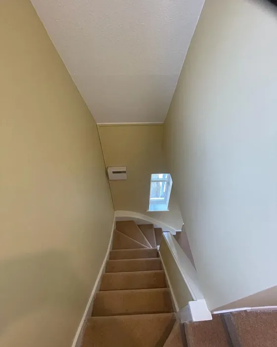 Dulux County Cream stairs color
