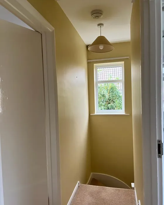 Dulux County Cream stairs color review