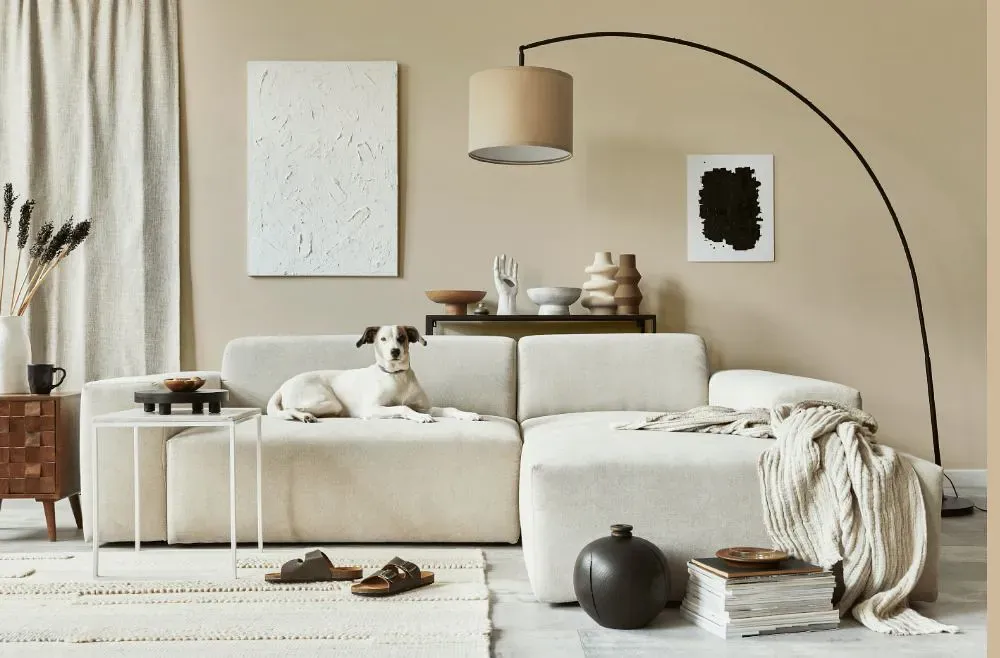 Sherwin Williams Cream and Sugar cozy living room