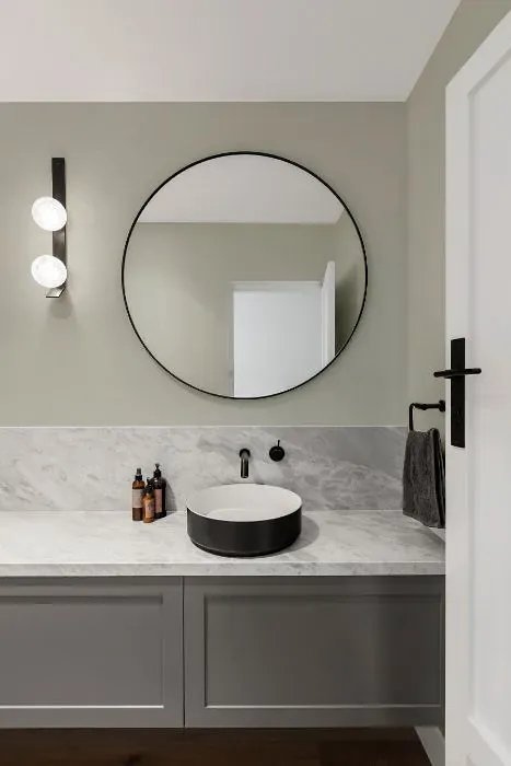 Sherwin Williams Create minimalist bathroom