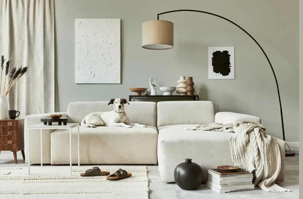 Sherwin Williams Create cozy living room
