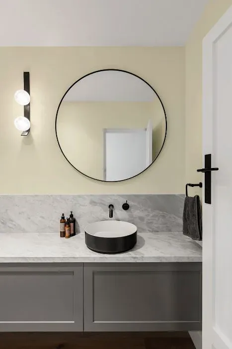 Sherwin Williams Crescent Moon minimalist bathroom