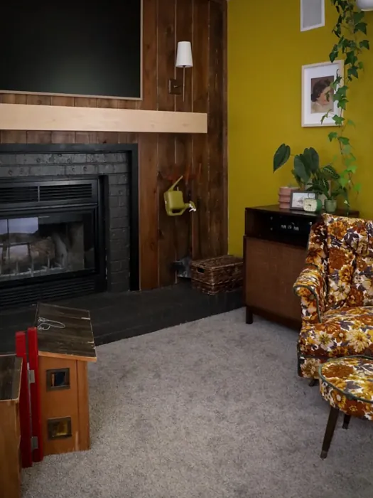 SW Crispy Gold living room color