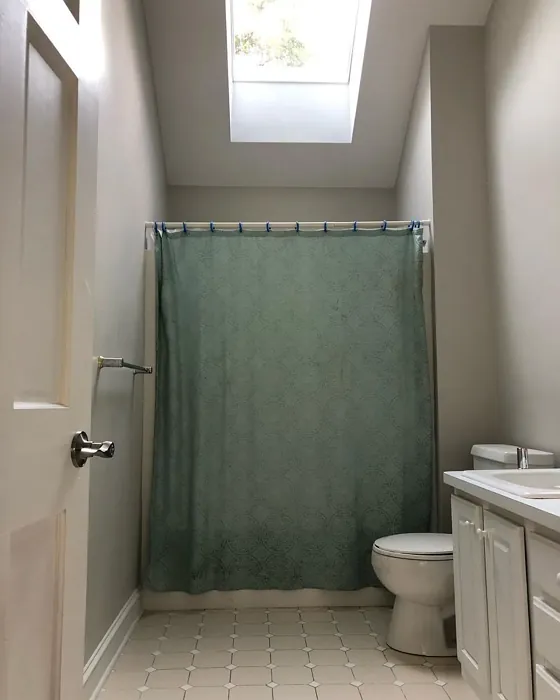 Sherwin Williams SW 7647 bathroom review