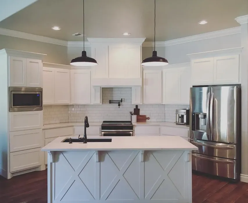 Sherwin Williams SW 7647 kitchen color