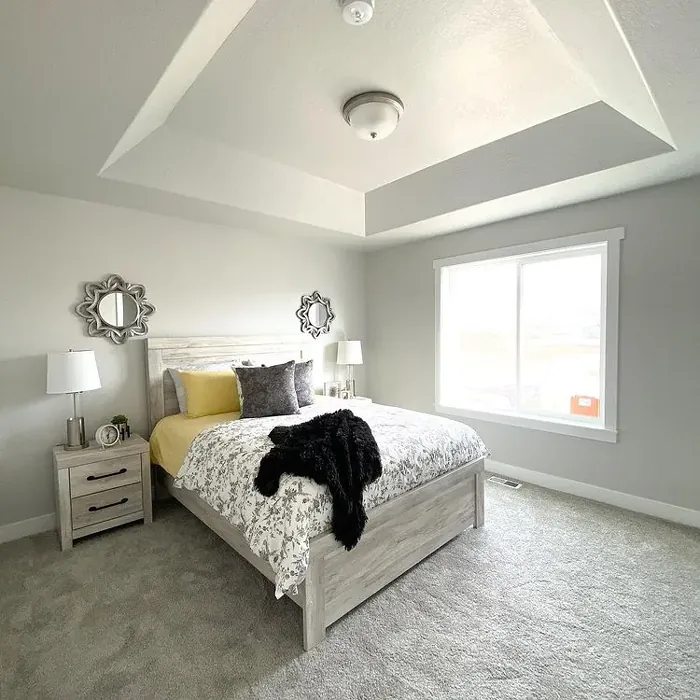 Sherwin Williams Crushed Ice light gray bedroom