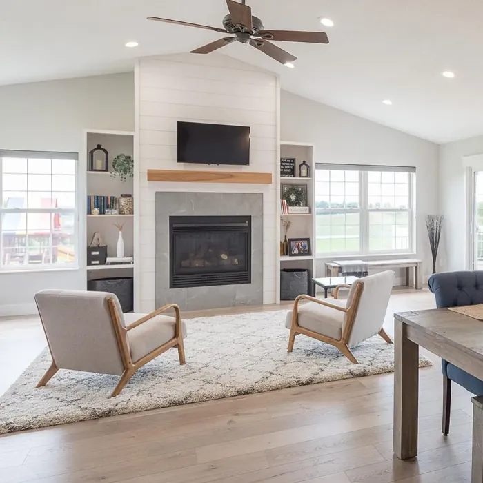 LIght gray living room with Crushed Ice Sherwin Williams