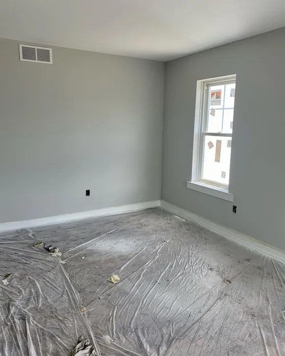 Sherwin Williams Crushed Ice bedroom paint