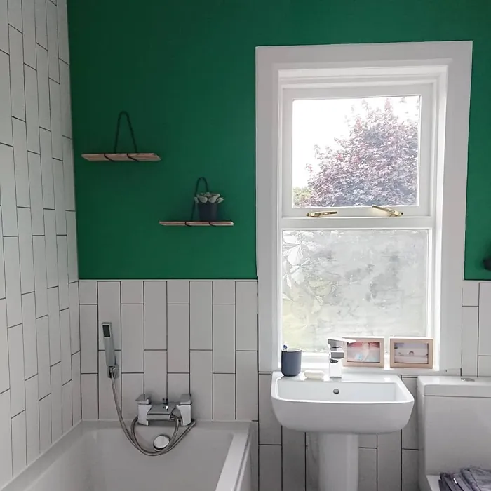 Dulux Crushed Pine 1 bathroom 