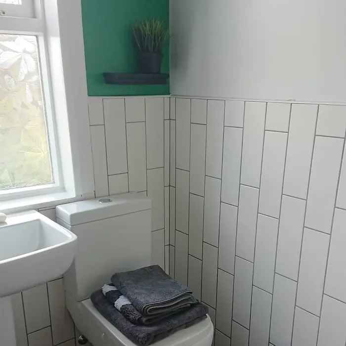 Dulux Crushed Pine 1 bathroom color