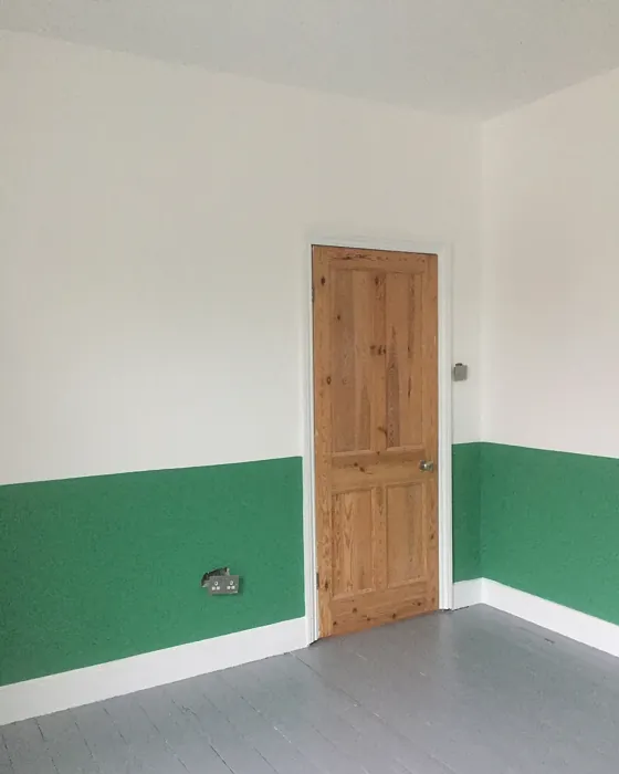 Dulux Crushed Pine 2 wall paint color-block