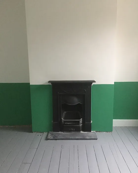 Dulux Crushed Pine 2 wall paint 