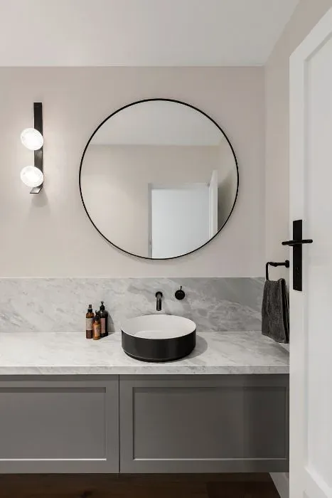 Sherwin Williams Crystalline minimalist bathroom
