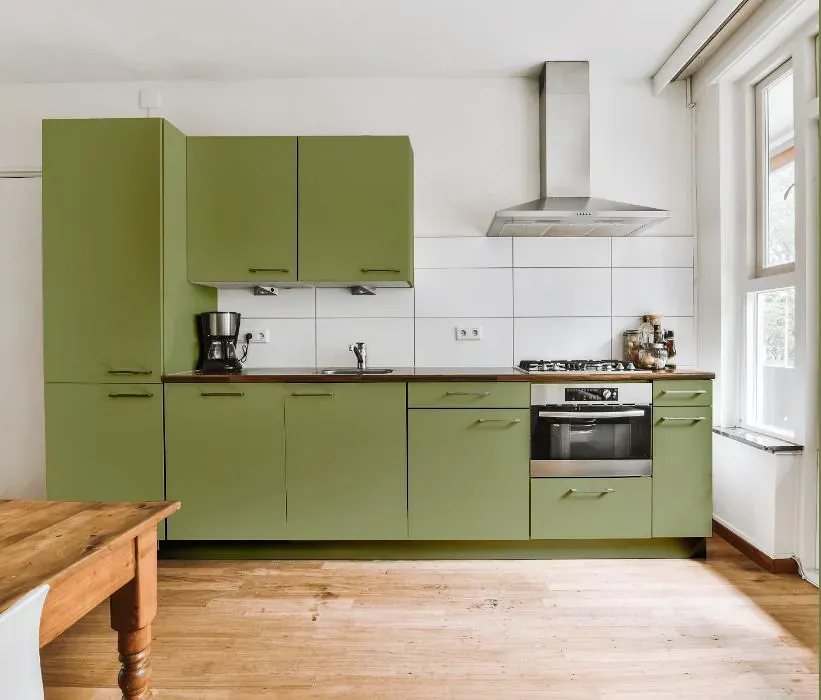 Sherwin Williams Cucuzza Verde kitchen cabinets