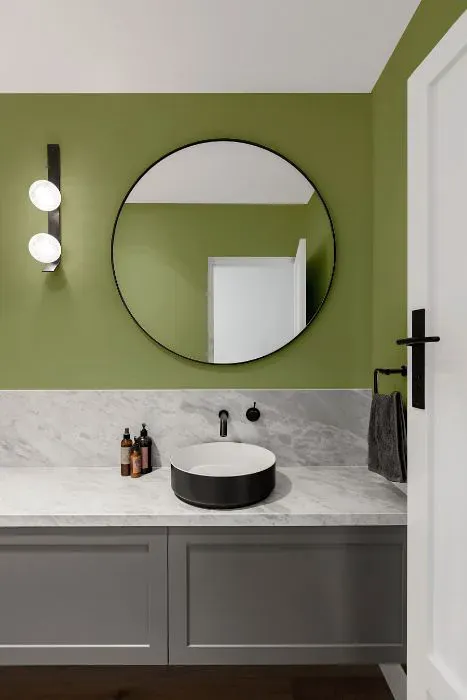 Sherwin Williams Cucuzza Verde minimalist bathroom