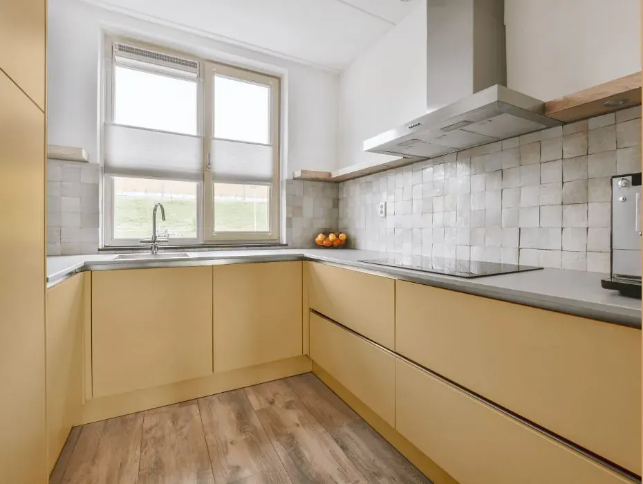 Sherwin Williams Cupola Yellow small kitchen cabinets
