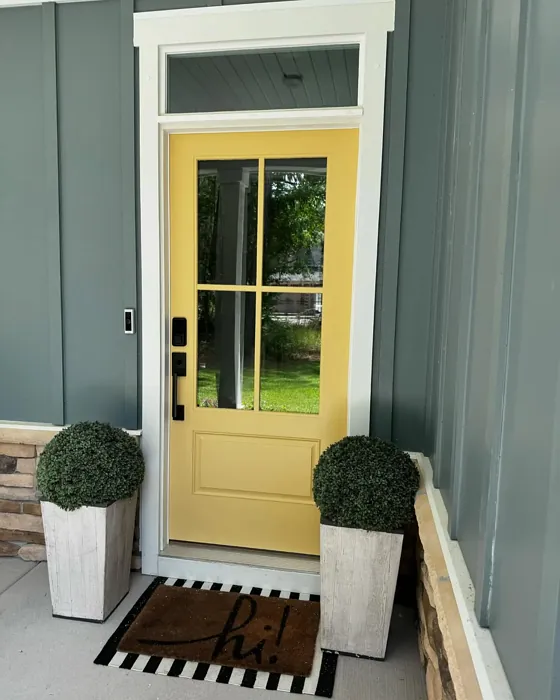 SW 7692 front door color