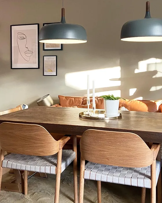 Curious Mind dining room color review