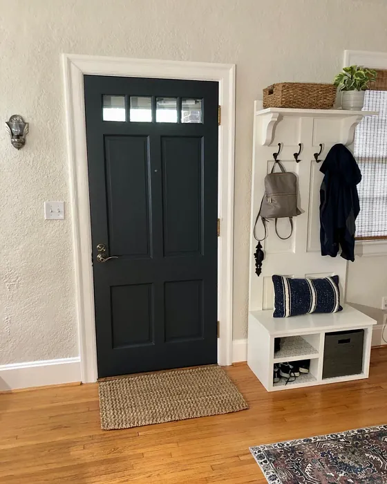 SW Cyberspace door color SW Cyberspace door color