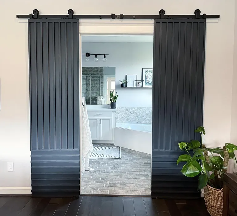 Sherwin Williams Cyberspace barn door Sherwin Williams Cyberspace barn door