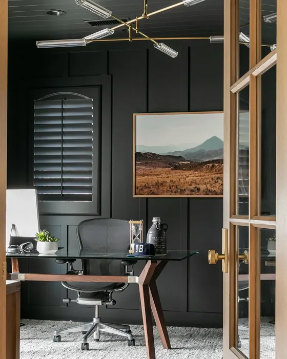 Sherwin Williams Cyberspace home office color Sherwin Williams Cyberspace home office color