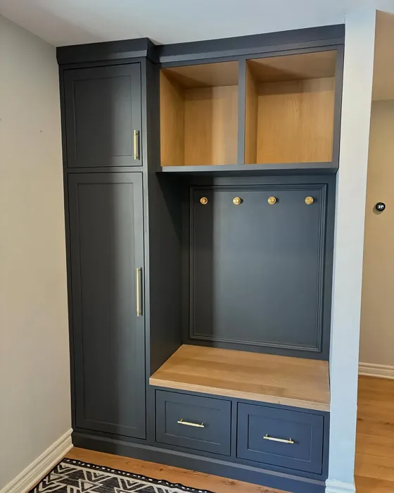 Sherwin Williams SW 7076 painted storage Sherwin Williams SW 7076 painted storage