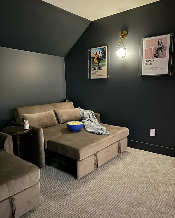 Sherwin Williams Cyberspace movie room Sherwin Williams Cyberspace movie room