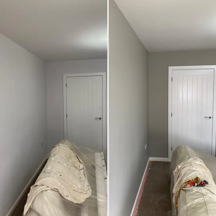 Dulux Cygnet Feather wall paint photo