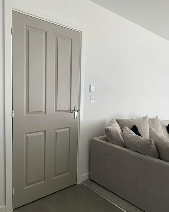Dulux Cygnet Feather door color