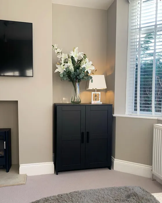 Dulux Cygnet Feather living room color