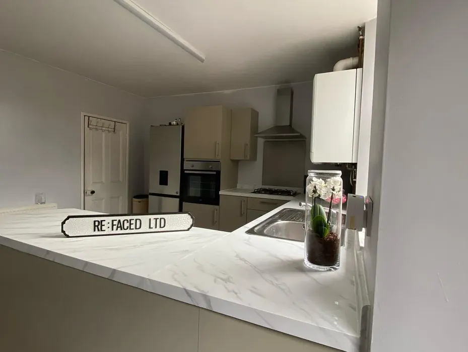 Dulux Cygnet Feather kitchen cabinets color review