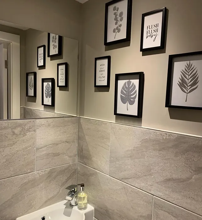 Dulux Cygnet Feather bathroom color review