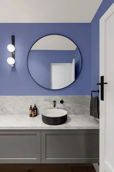 Sherwin Williams Dahlia minimalist bathroom