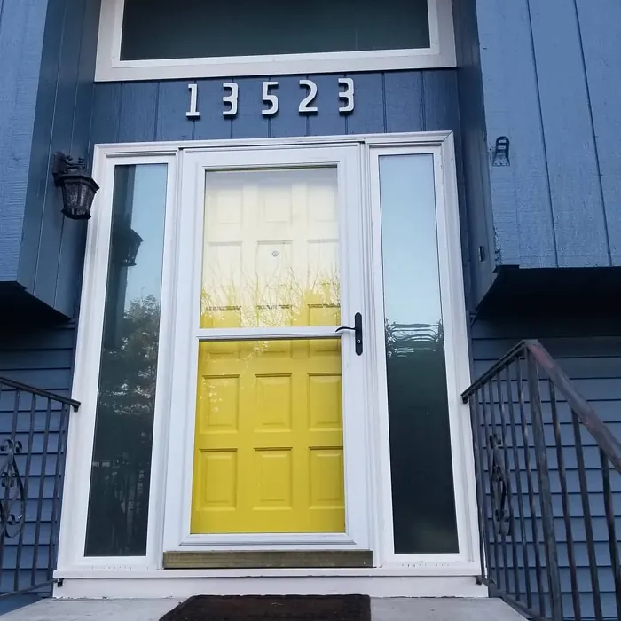 Sherwin Williams Daisy front door color