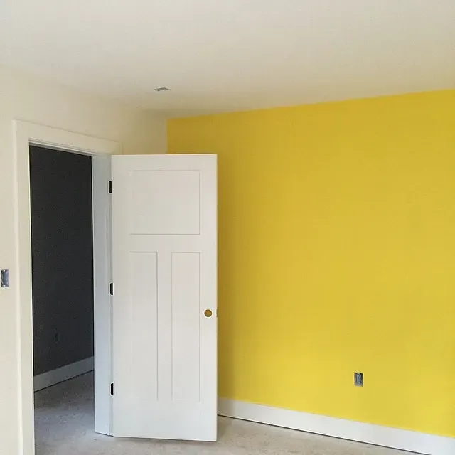 Sherwin Williams Daisy accent wall 