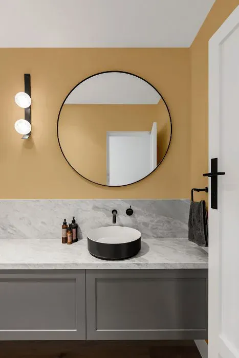 Sherwin Williams Dakota Wheat minimalist bathroom