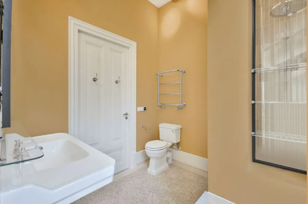 Sherwin Williams Dakota Wheat bathroom