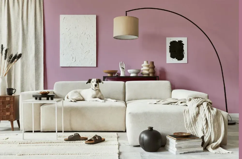 Sherwin Williams Damsel cozy living room