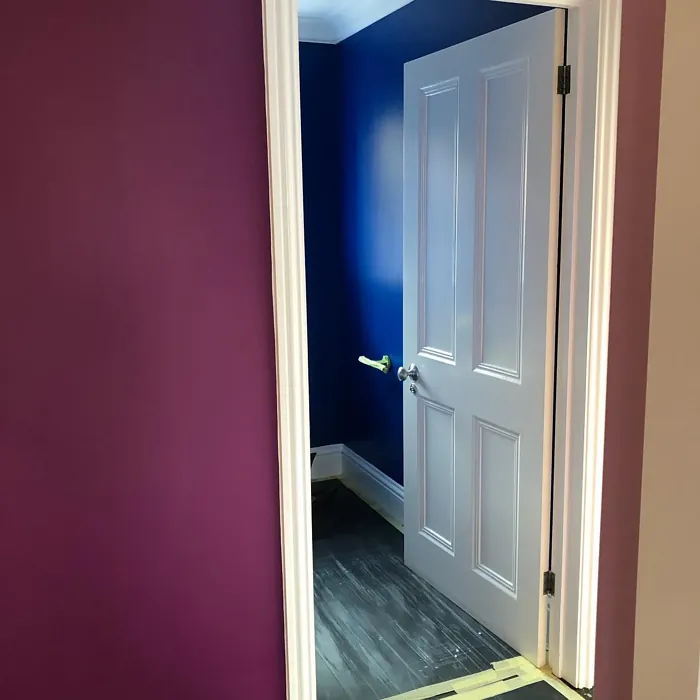 Dulux Damson Dream 2 wall paint 